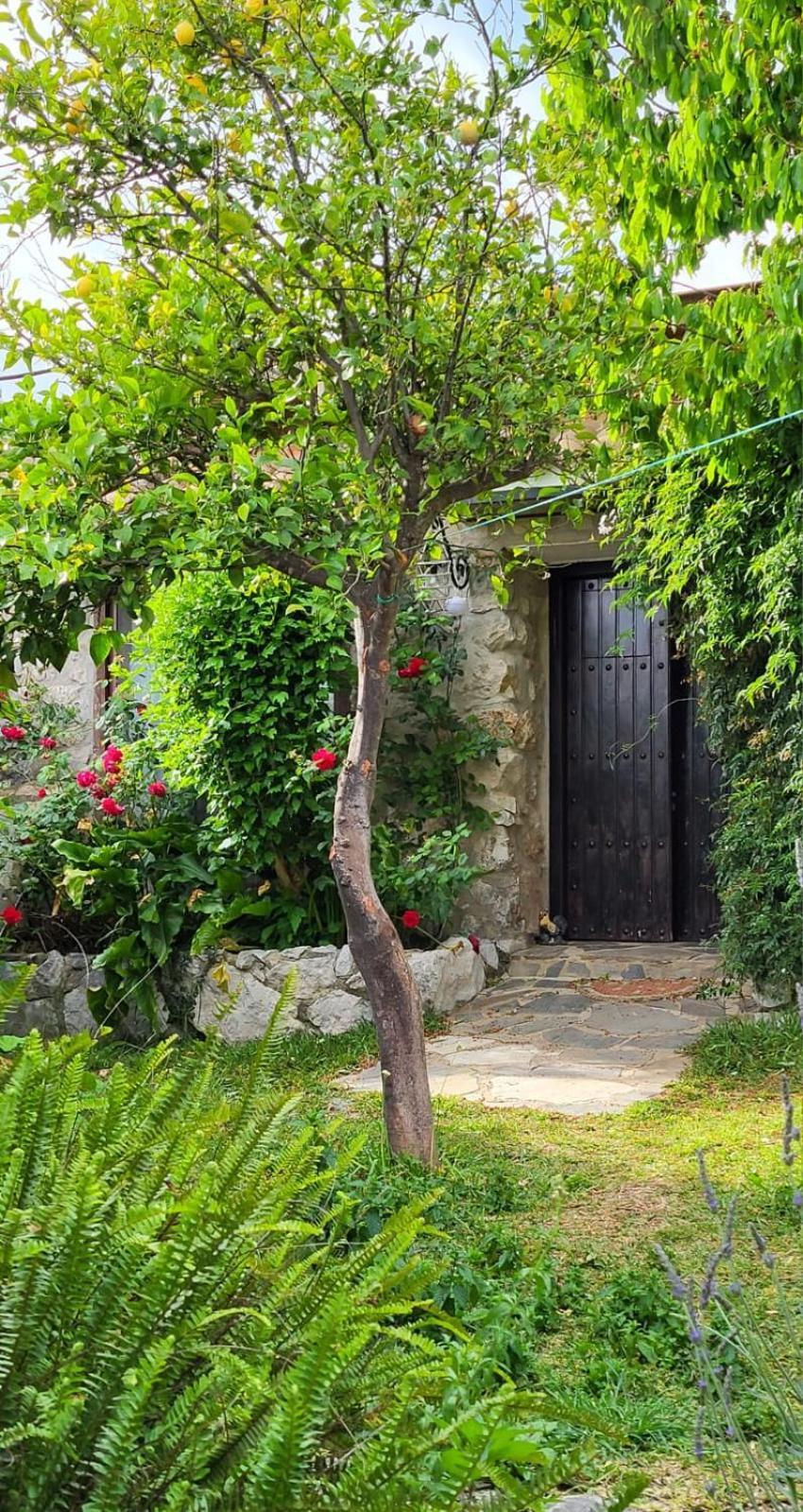 Casa Nani Villa Benaocaz Luaran gambar