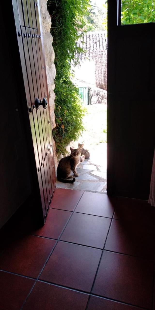 Casa Nani Villa Benaocaz Luaran gambar